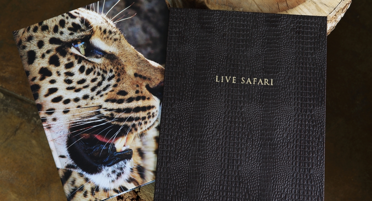 How to Plan Your First Safari